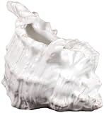 Urban Trends 70551 Decorative Ceramic Seashell White