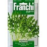 [ 西洋野菜 種 ] ワイルドルッコラ セルヴァチカ