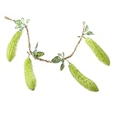 Baosity 野菜モデル　４個　写真　道具　お店　自宅　装飾　ままごと　おもちゃ　全８パタン　 - ニガウリ