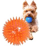 MUYYIKA 犬用おもちゃ ボール 音の出る 噛むおもちゃ 歯磨き 天然ゴム 弾力性 耐久性 運動不足 ストレス解消 訓練用 知育玩具 小型犬/中型犬に適用サイズ (オレンジ 直径5.5cm 1個)