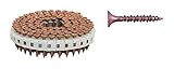 ファスリンク カラーロール連結ビス DR/KT3928 レッドーFAS