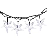 ヒトデ太陽文字列ライト、屋外、ガーデン、住宅、結婚式、クリスマス パーティー、休日の装飾 (白) の 20 ft 30 LED のクリスマス ライト