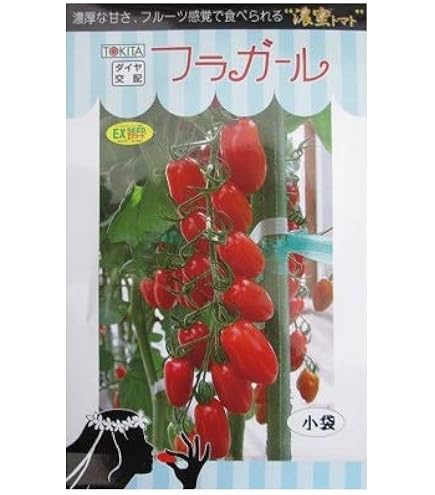Amazon.co.jp: 実生 ミニトマト 濃密トマト フラガール 10.5cmポット苗