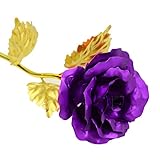 Wholehot　バラ 造花　24k金箔　薔薇　枯れない花　永遠の花　ベース　専用ケース　プレゼント袋付き　バレンタインデー/母の日/結婚祝い/誕生日/出産祝いなど祝いの贈り物　インテリア　置物にも大