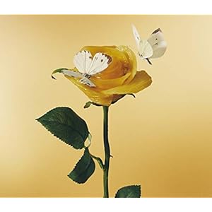 おいしいパスタがあると聞いて (初回限定盤)