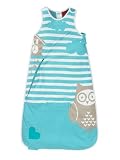Love To Inventa Sleep Bag 1.0 Tog Owl / 12-36m / Blue by Cheeky Rascals Ltd