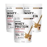 WINZONE（ウィンゾーン）ホエイ プロテイン パーフェクトチョイス 3kg（1kg×3袋）まろやかカフェオレ風味 国内製造 11種ビタミン 4種ミネラル 日本新薬