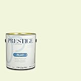 Prestige外部ペイントとプライマーin one 1 Gallon 1