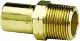 Viega 79400 ProPressゼロLeadブロンズアダプタとオス1-inch by 3 / 4インチFTG XオスNPT