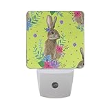 AlazaヒップスターRabbit BunnyフラワーフローラルLED夜ライトDusk to Dawnセンサープラグin Night Home Decorデスクランプfor Adult