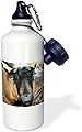 ローズWB _ 156345 _ 1 Oberhasli Goatスポーツウォーターボトル、21オンス、ブラウン