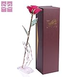 のためのギフト彼女誕生日結婚記念日、24 KゴールドコーティングローズPreserved Forever by jttVo、ベストクリスマスギフトレディースママ妻Girlsガールフレンド、バレンタイン