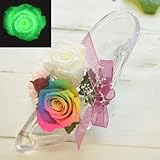 【ギフト】暗闇で光るバラ & レインボーローズ　プリザーブドフラワー[ガラスの靴]