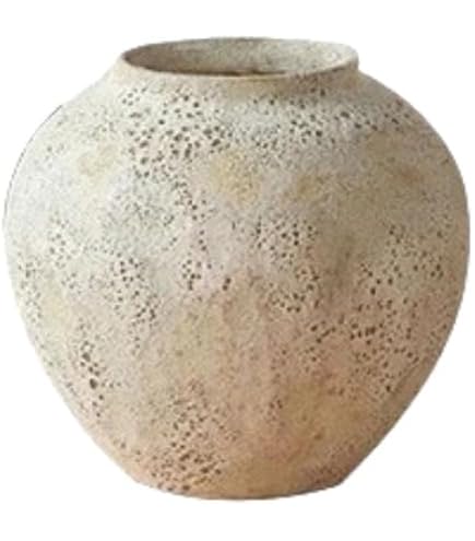 Amazon.co.jp: 信楽焼 古陶変形花入れ【ha-0035】 花瓶 花器 一輪挿し