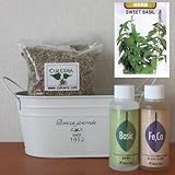 スイートバジル栽培セット/豊作セット（液体肥料付き）プランターホワイト仕様