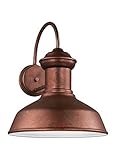 Sea Gull Lighting 8647701-44 Fredricksburg Large 1-light Outdoor Wall Lantern in Weathered Copper [並