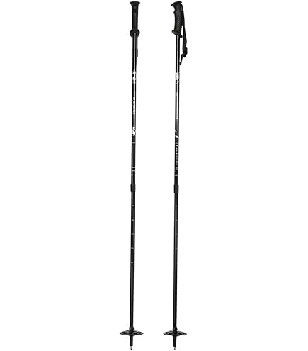 Amazon | SCOTT(スコット) スコット スキーポール PROGUIDE SRS 伸縮式