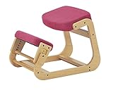 koeki 姿勢補助デスクチェア SLED(スレッド)チェア ピンク色 SLED-1(PK)
