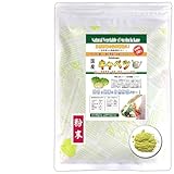 森のこかげ 国産 きゃべつ 粉末 (70g) 熊本県産 野菜 (残留農薬検査済) パウダー 売筋粉 国粉末