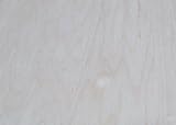 1 / 4 " Maple合板で24 " x 48 "
