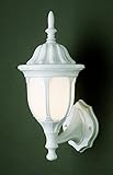 Trans Globe Lighting 4040 WH 1-Light Coach Lantern, White [並行輸入品]