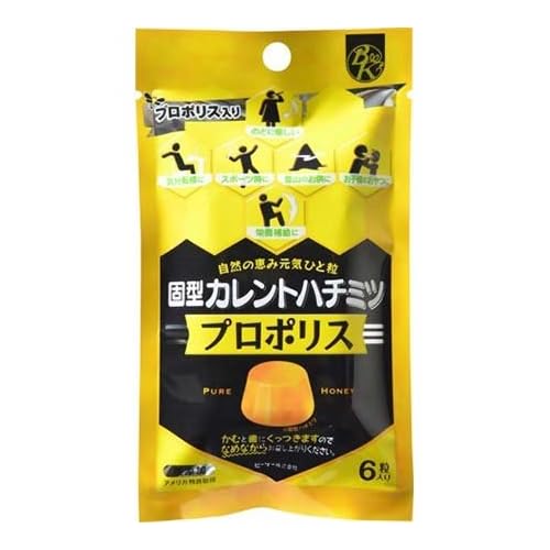 ビーケー 固型カレントハチミツ プロポリス