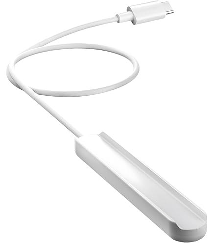 Apple Pencil 第2世代 数回のみ使用 美品 充電ケーブル付き Apple Pencil 第2世代 専用充電ケーブル 35cm 磁気充電 Type-C