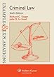 Criminal Law (Examples & Explanations)