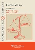Criminal Law (Examples & Explanations)