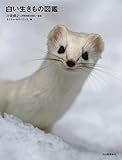 白い生きもの図鑑