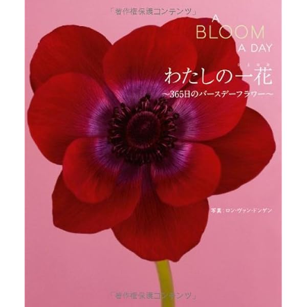 Amazon.co.jp: エフューシス「EFFUSUS」 : ロン・ヴァン