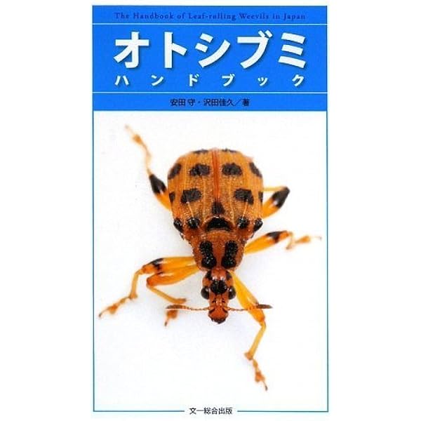 【中古】 甲虫とつきあう本 図解ハンドブック/ＪＴＢパブリッシング/平野幸彦 中古】 甲虫とつきあう本 図解ハンドブック/JTB