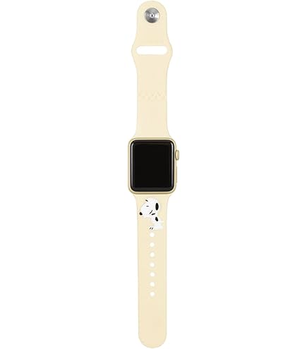 いつじさん専用　Apple Apple Watch 38 40 41 いつじさん専用 Apple Apple Watch 38 40 41 いつじさん専用