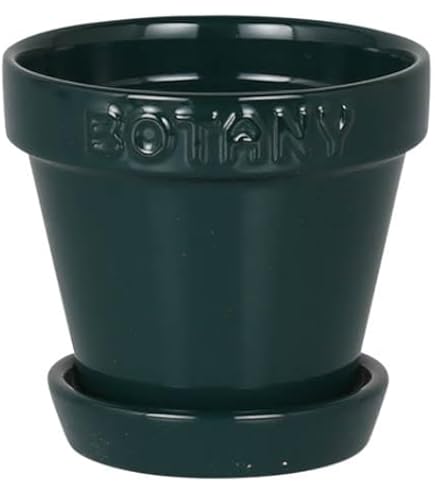 はなかっぱ ももかっぱ コンポート 植木鉢 プランター セット Amazon.co.jp: !はなかっぱ鉢ももかっぱ鉢セット コンポート : DIY