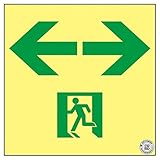 高輝度蓄光通路誘導標識 ←→ ASN953【代引不可】 生活用品 インテリア 雑貨 文具 オフィス用品 その他の文具 オフィス用品 [並行輸入品]