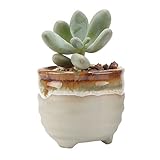 T4U 6CM 陶器鉢 流れ釉 環形状 灰底 植木鉢 多肉植物 サボテン鉢、花鉢 容器 ミ二植木鉢