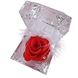 AU PLAZA (エーユープラザ) プリザーブドフラワー キューブ 【スワロフスキー ＆ 羽根 付き】プレゼント ブリリアン レッド バラ