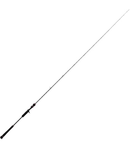 Amazon | スタート(Start) タイラバロッド BRAHMAN (ブラフマン) BRM