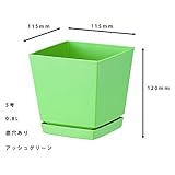 大和プラスチック クエンチローポット（鉢皿付） 5号 アッシュグリーン