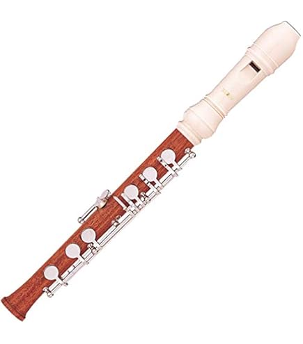 Amazon | ヤマハ ソプラノ片手リコーダー(左手用)YAMAHA YRS-900L