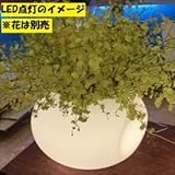 スイコー　回転成形型耐候ポリエチレンプランター　アリエッタ　Coccolo（コッコロ）＋LED　9号 ナチュラル＋LED