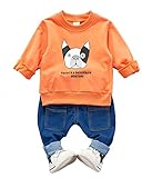 CXYP　キッズ服　春秋　男の子　上下セット　犬　カワイイ　コットン　子供服　カジュアル　長袖　80cm～110cm (80cm, オレンジ)