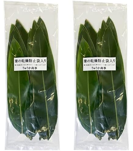 Amazon｜沖縄産 月桃の葉30枚セット（未洗浄）｜観葉植物 オンライン通販