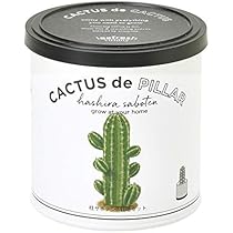 シャボテン Cacti & Succulents 誠文堂新光社 シャボテン Cacti & Succulents 誠文堂新光社 シャボテン Cacti