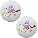セットの2 Whimsical Owl onリムセラミックキャビネット引き出しノブ