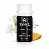 REHKG アロマオイル 50ml ノルウェーの森の香り ディフューザー用 香薫機用 フレグランスオイル 芳香剤