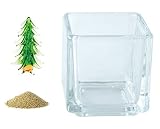 花市場直送便 ミニチュアガラス 針葉樹 大 & カラーサンド ゴールド & 植え込み用グラス ニューブロックS