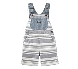 OshKosh B ' goshベビー男の子ストライプオーバーオール カラー: ブルー