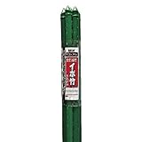 イボタケ5本パック 11X0.9 11mmX900mm