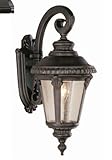 Trans Globe Lighting 5043 BK 1-Light Coach Lantern, Black [並行輸入品]